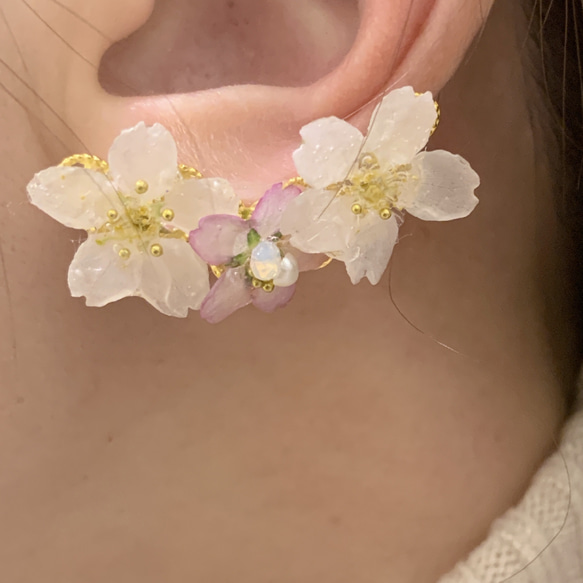 【rie.t】本物の小さな桜　お花見イヤーカフセット 6枚目の画像