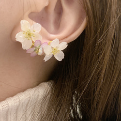 【rie.t】本物の小さな桜　お花見イヤーカフセット 7枚目の画像