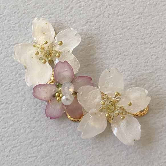 【rie.t】本物の小さな桜　お花見イヤーカフセット 4枚目の画像