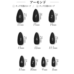  第11張的照片