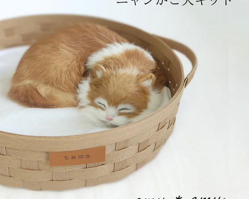 70bc8ce98ff6c6a0be1e123e3e9c89