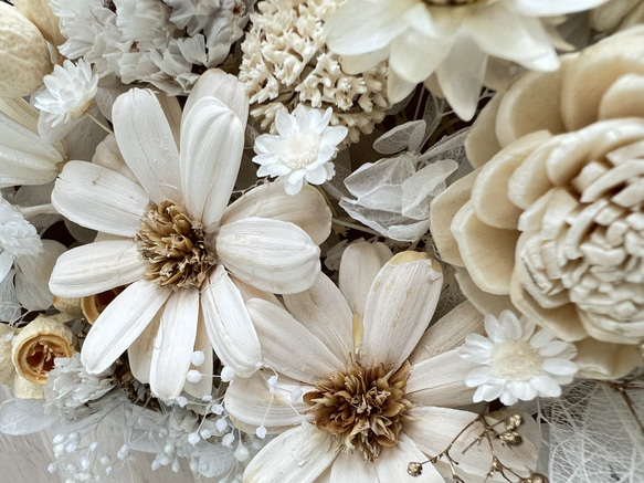 花材　素材　マーガレットとソラローズ　プリザーブド　ソーラーフラワー 3枚目の画像