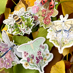 Insect Flower Bouquet Sticker Set (５ piece) - 花と虫のブーケシールセット( 1枚目の画像