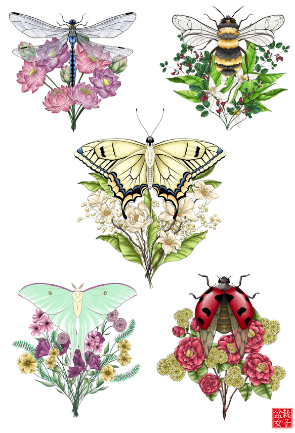 Flower Insect Bouquet Postcard 花と虫のブーケのはがき 2枚目の画像