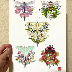 Flower Insect Bouquet Postcard 花と虫のブーケのはがき 1枚目の画像