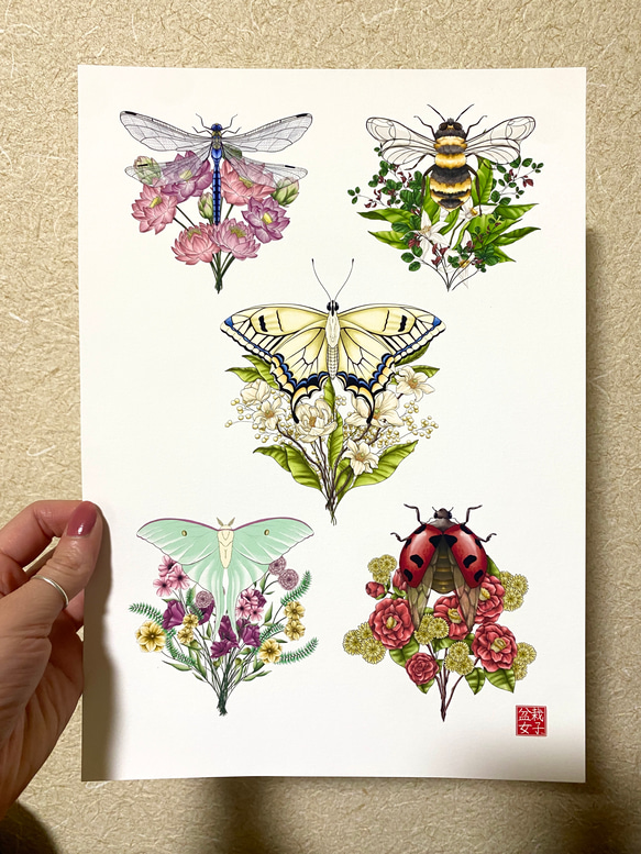 Flower Insect Bouquet Postcard 花と虫のブーケのはがき 1枚目の画像