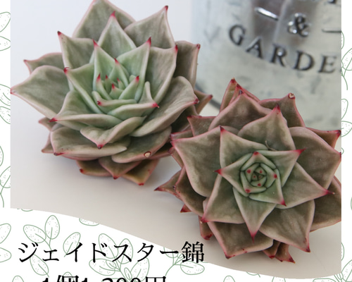 ece07834ab3b1f5a484fb3e7a700d5