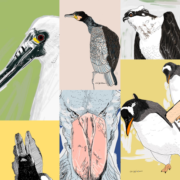 ミニ【4月はじまり】マニアックな海鳥たちと過ごす一年カレンダー〜2024 11枚目の画像