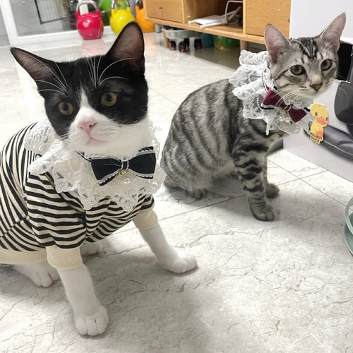 レースシュシュ 猫、犬の首輪、首飾り No:018 リード・首輪