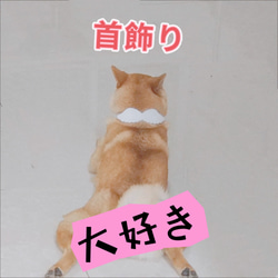 ツバサシュシュ　猫、犬の首輪、首飾り　　No:019 1枚目の画像