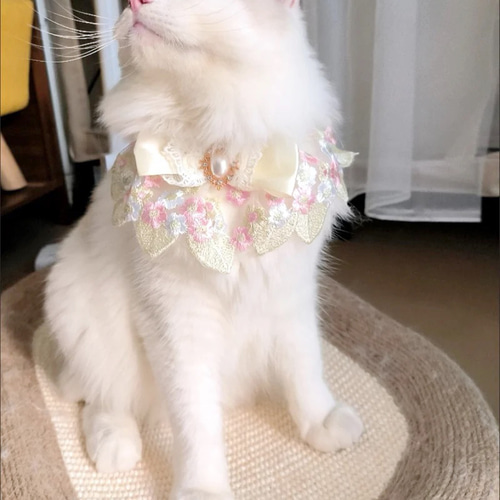 オーダーメイド レース 猫、犬の首輪、首飾り No:20 リード