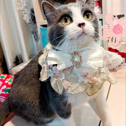 オーダーメイド レース 猫、犬の首輪、首飾り No:20 リード