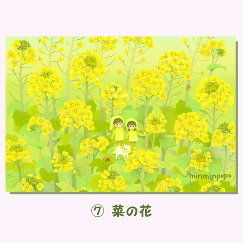 春の花ポストカード№1 季節のお花や風景と妖精たち【選べる3枚 春の花ポストカード№1 季節のお花や風景と妖精たち【選べる3枚