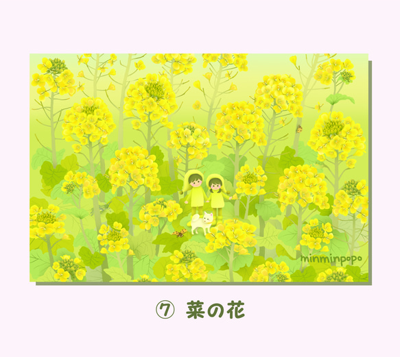 春の花ポストカード№1　季節のお花や風景と妖精たち【選べる３枚セット】 8枚目の画像