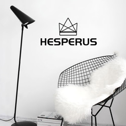 ウォールステッカー　ウォールデコ　2枚セット　モノトーンHESPERUS+DD015 牡丹の花　癒すDIY壁紙壁シール 9枚目の画像