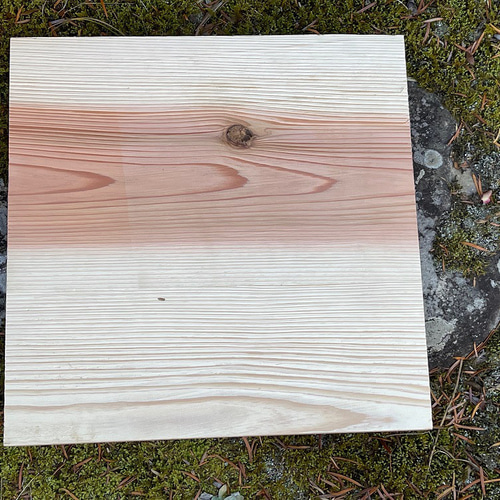 日本みつばち用 飼育箱 点検しやすい 重箱式巣箱 観察窓3窓付 杉材 桜