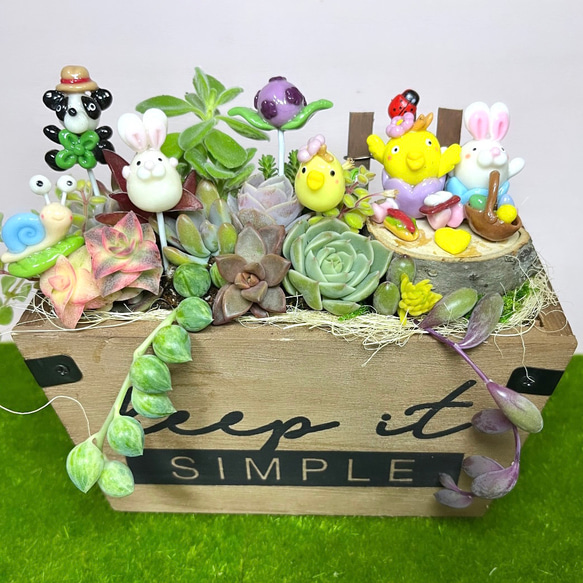 〜多肉植物寄せ植え〜樹脂粘土レジン(粘土細工) Amazon.co.jp: 多肉植物寄せ植え樹脂粘土レジン(粘土細工