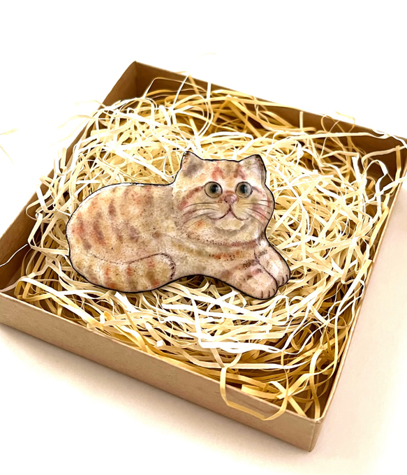 七宝焼　しっぽう焼き　ブリティッシュショートヘア猫さんのブローチ 3枚目の画像