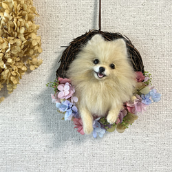 羊毛フェルト ポメラニアンのフラワーリース あじさい 母の日 羊毛