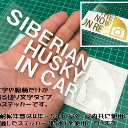 THE SHIBA INU IN CAR ステッカー（柴犬・立ち姿） 6.5cm×17cm 3枚目の画像