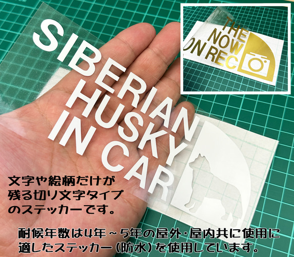 THE SHIBA INU IN CAR ステッカー（柴犬・座り姿） 6.5cm×17cm 3枚目の画像