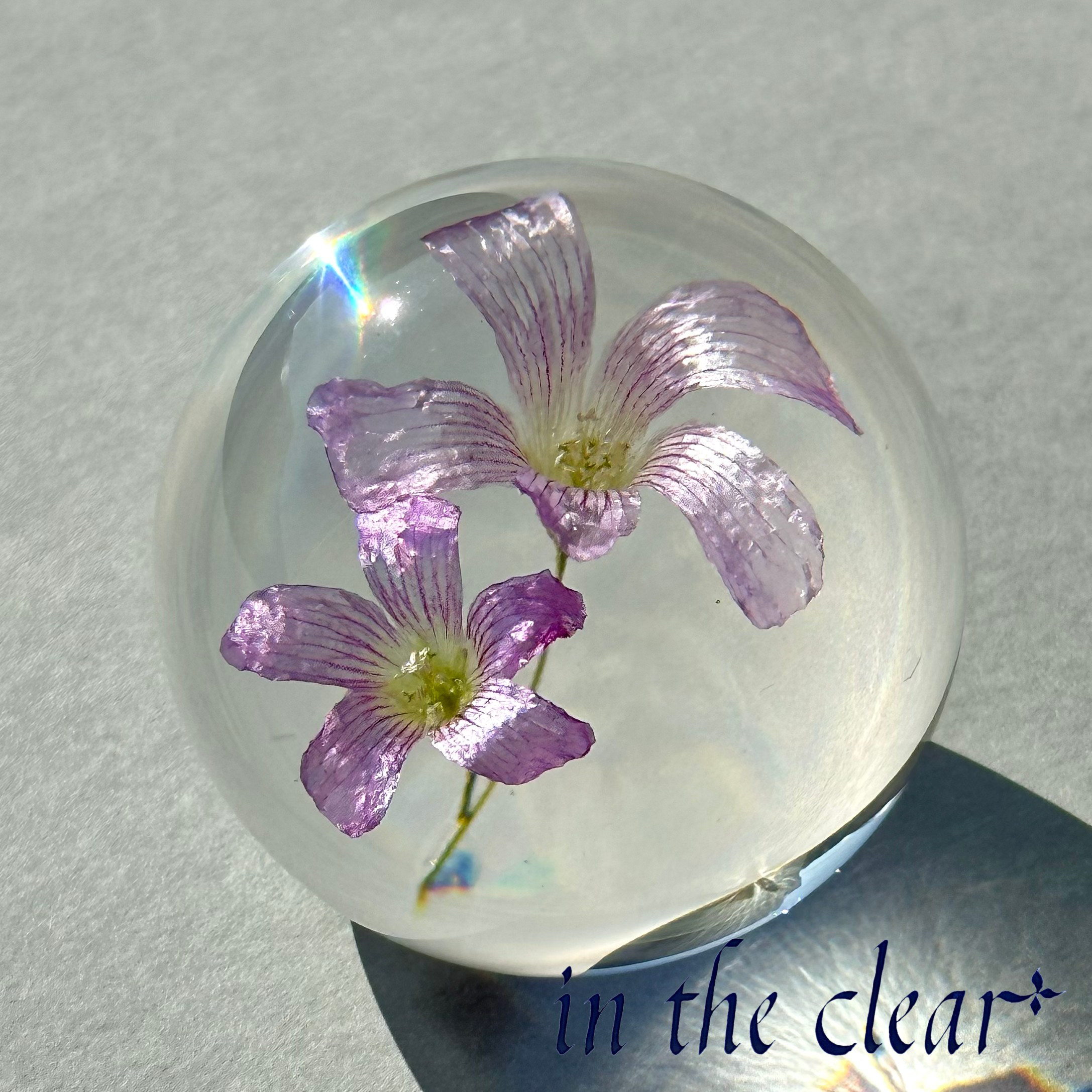 レジンヘアゴム　バイカラー　バラ　かすみ草　ミモザ　ラベンダー レジンヘアゴム バイカラー バラ かすみ草 ミモザ ラベンダー