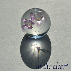 植物標本　ムラサキカタバミ　紫　レジン　４センチ球体 3枚目の画像