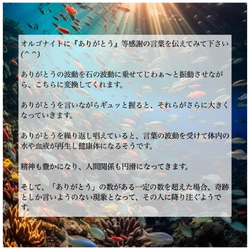 握り石　オルゴナイト　ターコイズ　アマゾナイト　ガーネット　目標達成　夢の実現化　血流改善　クリエイティブ　フトマニ図　 9枚目の画像