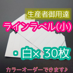 ラインラベル 小 ホワイト 30枚 園芸カラーラベル 多肉植物 エケベリア 1枚目の画像