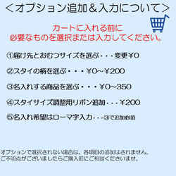 【選べるスタイ＆名入れ】海幸せを運ぶ　ホヌ（海がめ）おむつケーキ　セット　　／出産祝い　ベビーギフト　ハワイアン 6枚目の画像