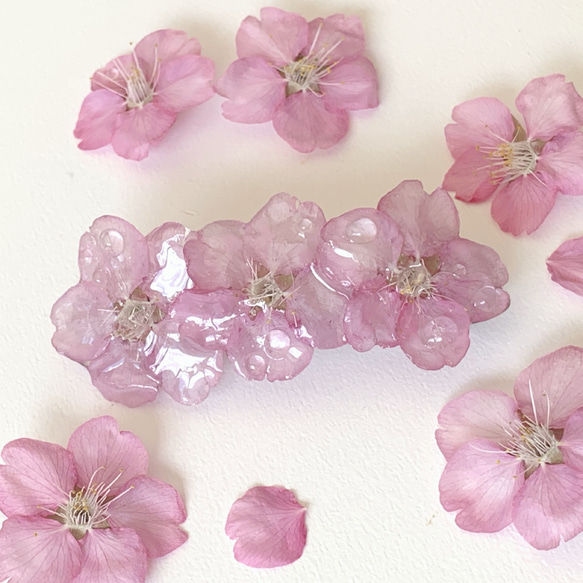 【rie.t】本物の桜 お花見バレッタ 5枚目の画像