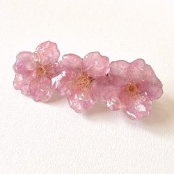 押し花 バレッタ の人気通販|Creema(クリーマ) 国内最大の 押し花 バレッタ の人気通販|Creema(クリーマ) 国内最大の