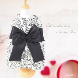 No.2犬服 猫服 ハンドメイド ワンピース わんちゃん ペット服