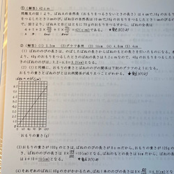 神奈川大学附属中学校　 2025年新合格への算数と理科プリント 8枚目の画像