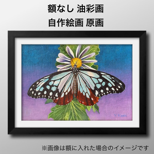 原画『アサギマダラ』油彩画 写実画 絵画 Y.Koshi 通販 17455165