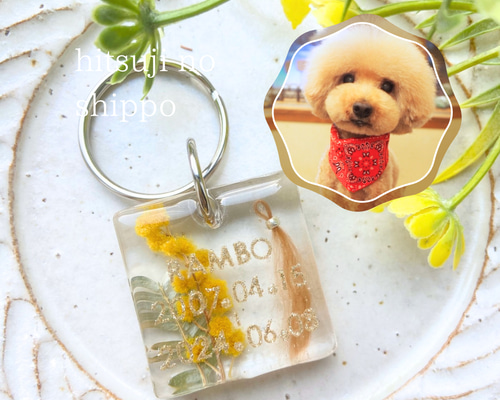 0f30eef4c01c39bc74f9d4b6cf6c9c