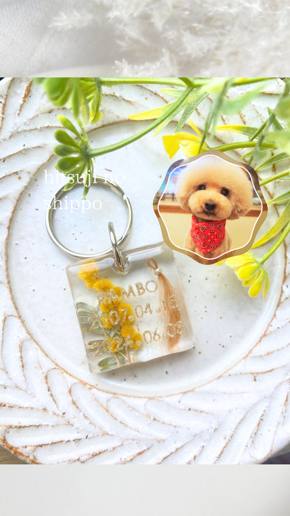 【うちの子素材】『ミモザ』名入れ可　ペットの毛・ヒゲ・羽・爪・乳歯・遺骨・遺灰 封入　ペットメモリアルキーホルダー 1枚目の画像