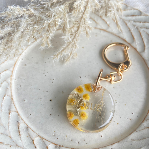 うちの子素材】『ミモザ』名入れ可 ペットの毛・ヒゲ・羽・爪・乳歯