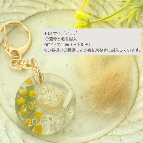 【うちの子素材】『ミモザ』名入れ可　ペットの毛・ヒゲ・羽・爪・乳歯・遺骨・遺灰 封入　ペットメモリアルキーホルダー 9枚目の画像