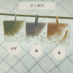 【うちの子素材】『ミモザ』名入れ可　ペットの毛・ヒゲ・羽・爪・乳歯・遺骨・遺灰 封入　ペットメモリアルキーホルダー 13枚目の画像