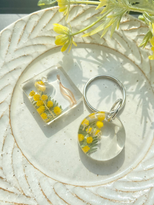 【うちの子素材】『ミモザ』名入れ可　ペットの毛・ヒゲ・羽・爪・乳歯・遺骨・遺灰 封入　ペットメモリアルキーホルダー 6枚目の画像