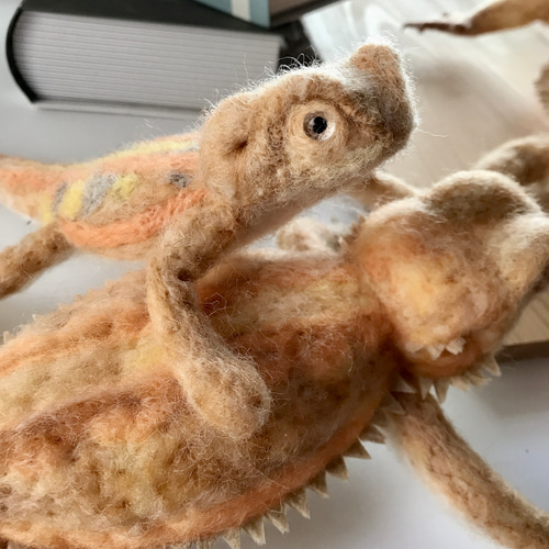 フトアゴヒゲトカゲ幼体 羊毛フェルト 羊毛フェルトで爬虫類「とか源