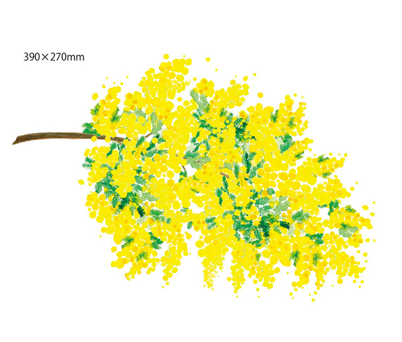 新作♡ 《ふさふさミモザの枝》スッと壁に溶け込むウォールステッカー　※水濡れOK・テカリ無し 7枚目の画像