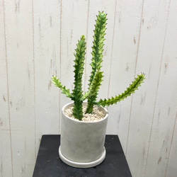 3eb80f17c6928a58d59c7f37655723