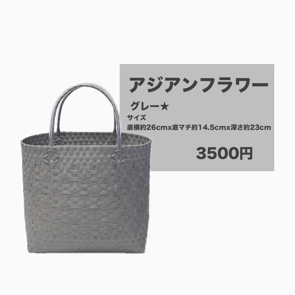 特別セール➖即納可能➖⭐︎2024新作⭐︎プラカゴバッグ
