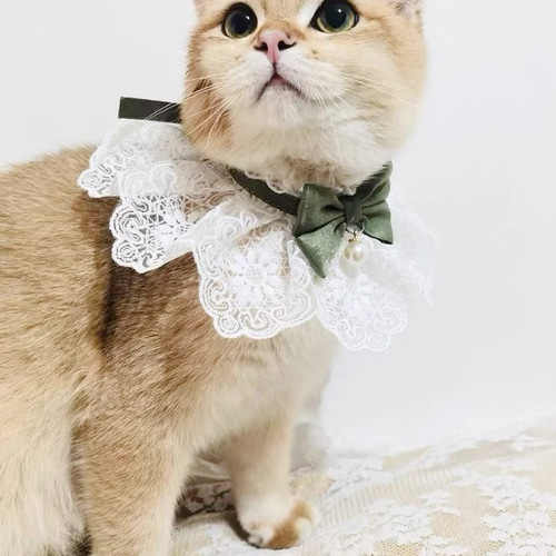 羊毛フェルト☆オーダー 25cm ペット 愛犬 愛猫 | iichi 日々の