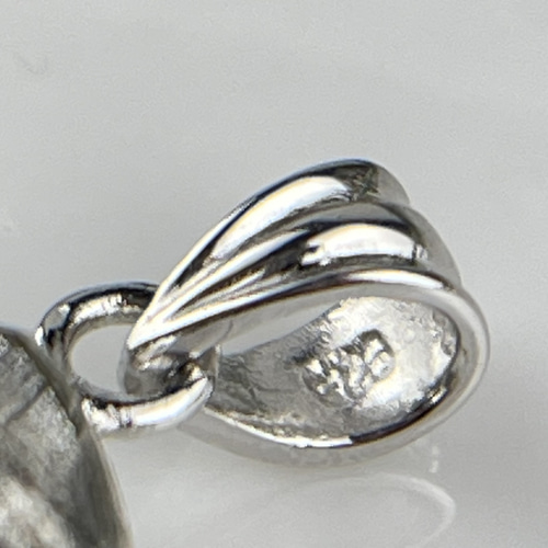 SV925 ギベオン隕石 ペンダントトップ ペンダントトップ Himal