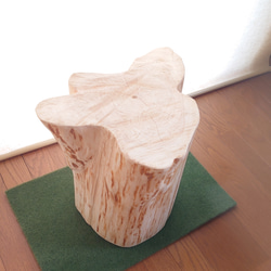 希少な根元部分使用 天然アロマ 丸太椅子フリル・ワイド・丸太テーブル・オーガニック 3枚目の画像