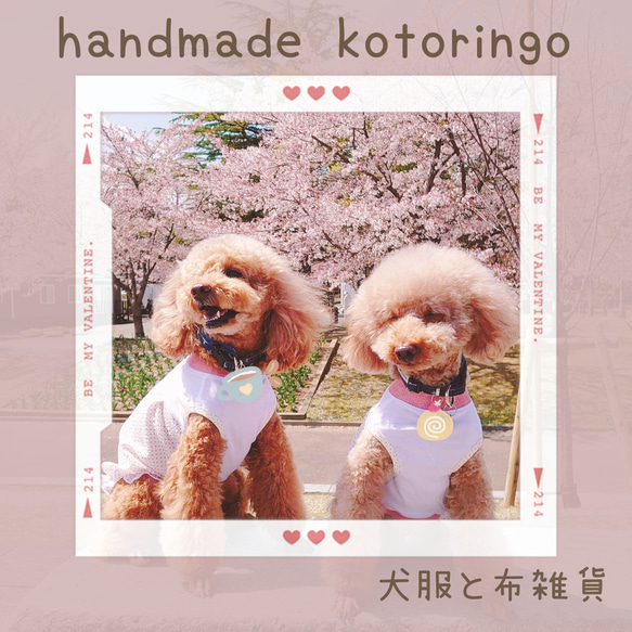 【犬服】 プリンセス ピンク いちご　ボーダー リブ タンクトップ 10枚目の画像