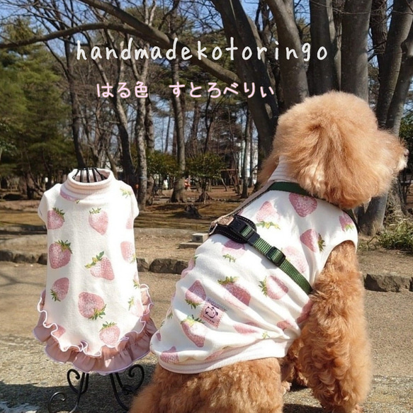 再販【犬服】春色 いちご の フリル ニット ワンピース 5枚目の画像
